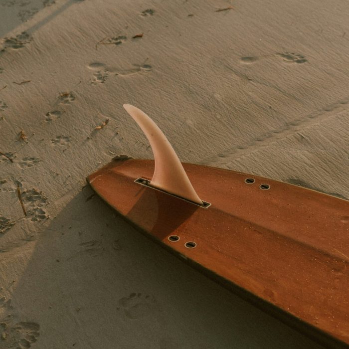 lena-kestler-1WFSRmQ73nw-unsplash